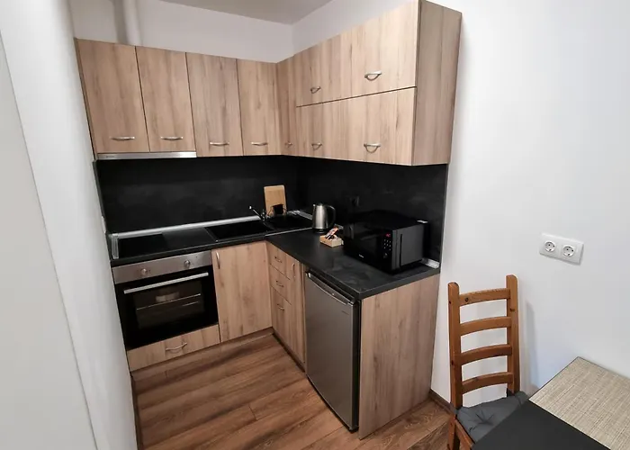 Apartment Luxury Quiet In The Center